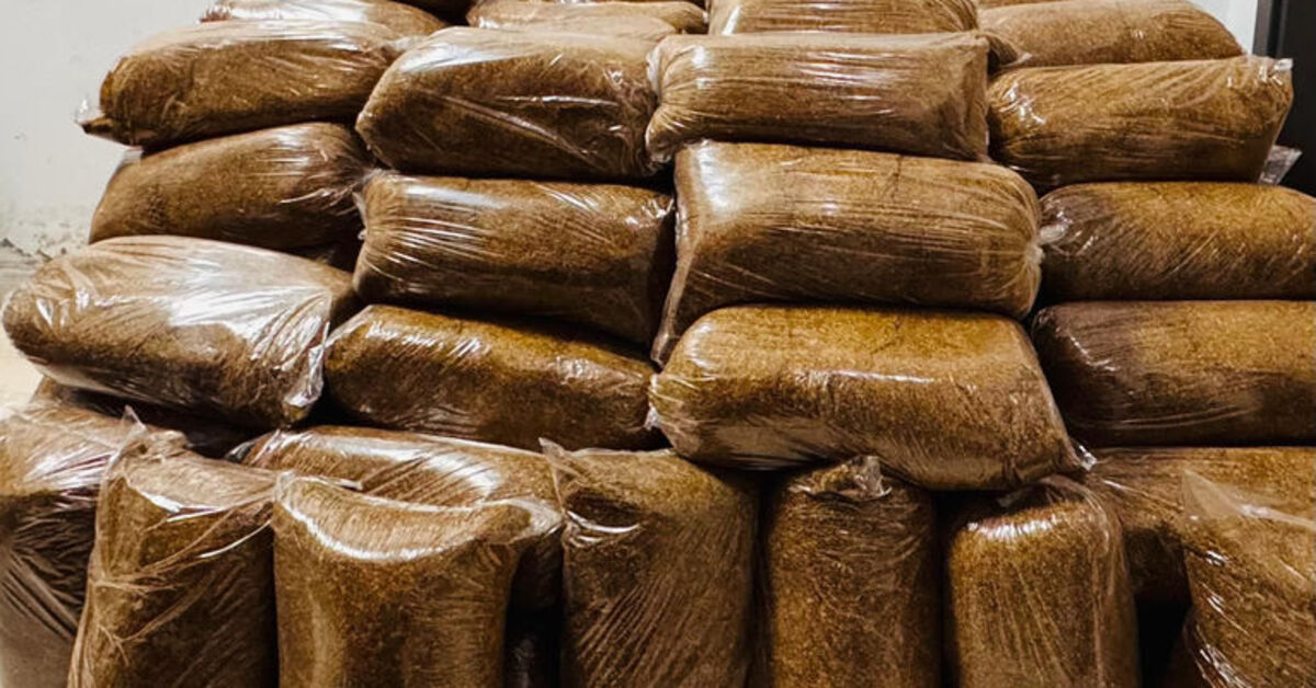 Samsun’da 475 kilogram kaçak tütün ele geçirildi