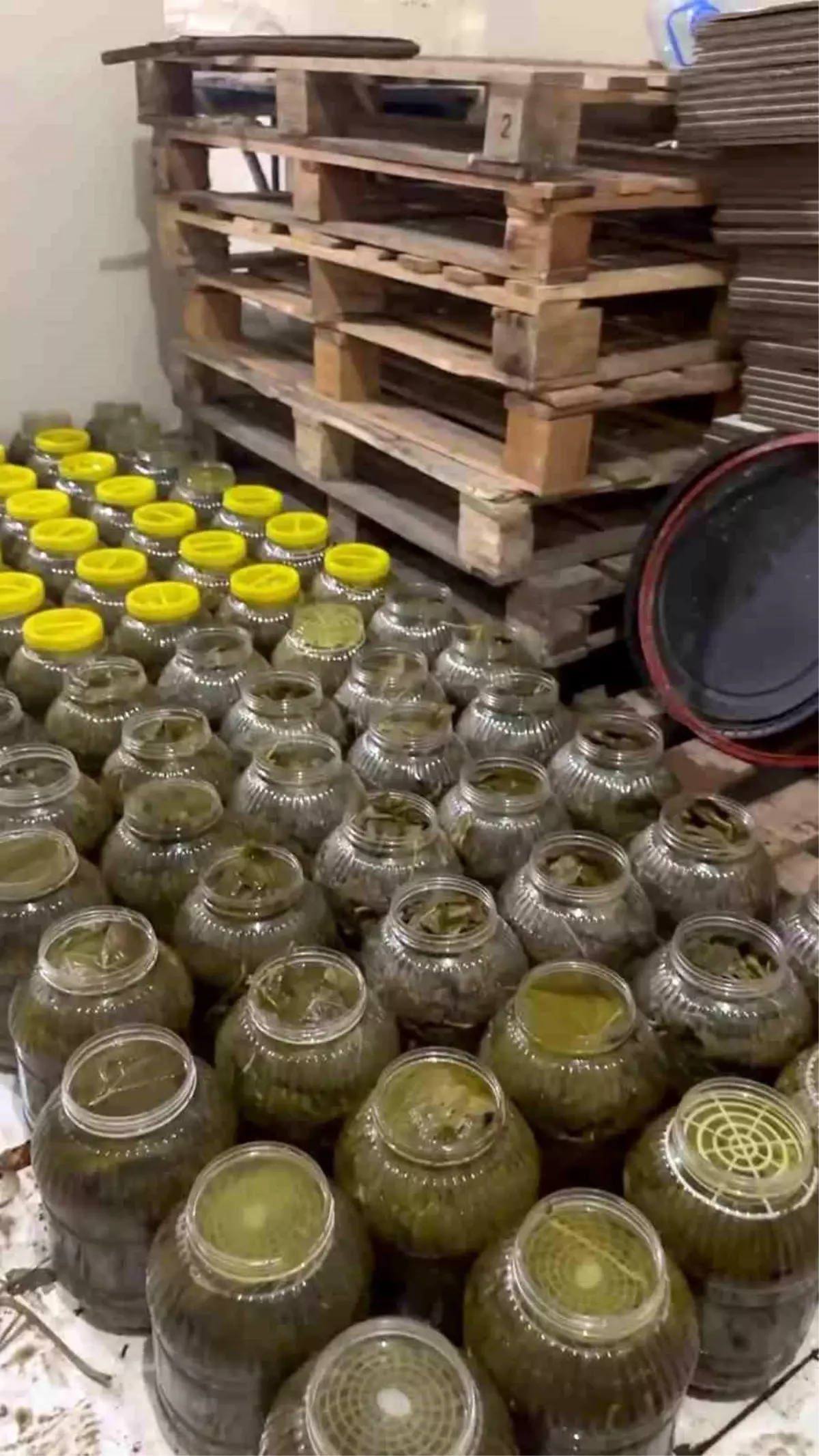 Reyhanlı’da Hijyen Kurallarına Uymayan 8.695 Kg Salamura Ürün İmha Edildi