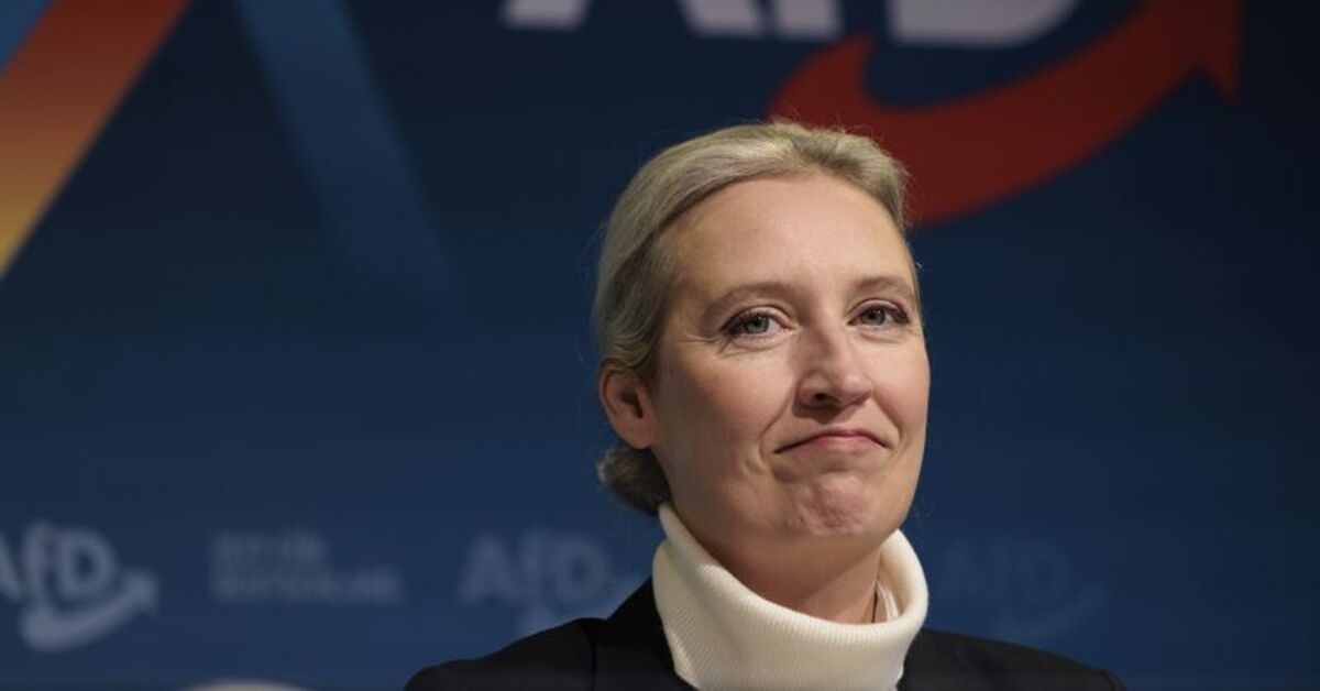 Elon Musk’ın desteklediği parti olan AfD’nin oy oranı arttı