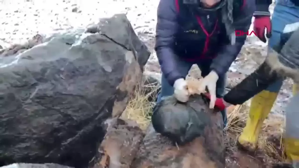Şanlıurfa’da Silah Kaçakçılığı Operasyonu: 9 Gözaltı