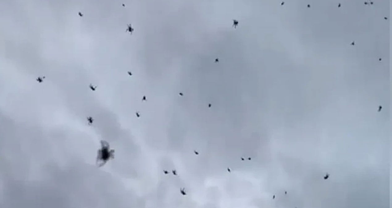 Bir anda gökten yüzlercesi yağdı: Yetkililerden açıklama geldi