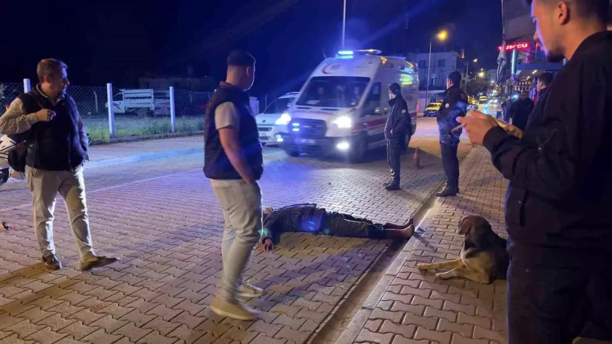 Sadık Köpek, Alkollü Sahibinin Başından Ayrılmadı